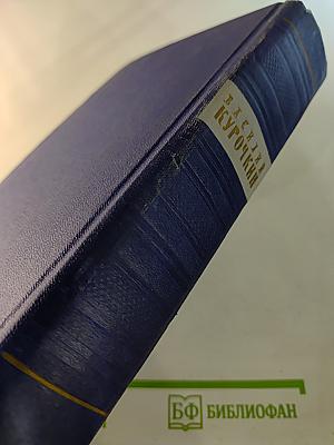 Василий Курочкин. Стихотворения, Статьи, Фельетоны