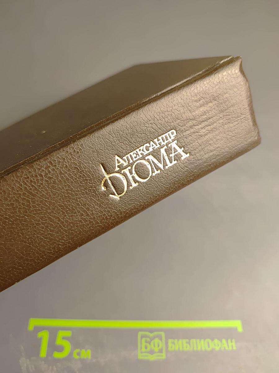 Собрание сочинений. Том 1. Три мушкетера