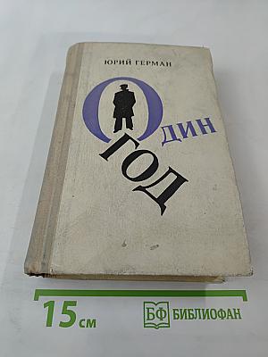 Один год