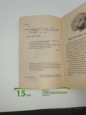 Хомячки