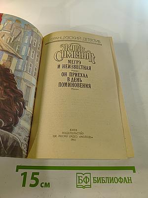 Французский детектив. Мегрэ и неизвестная. Он приехал в день поминовения