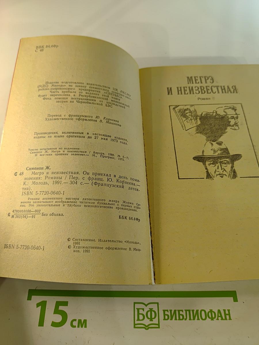 Французский детектив. Мегрэ и неизвестная. Он приехал в день поминовения