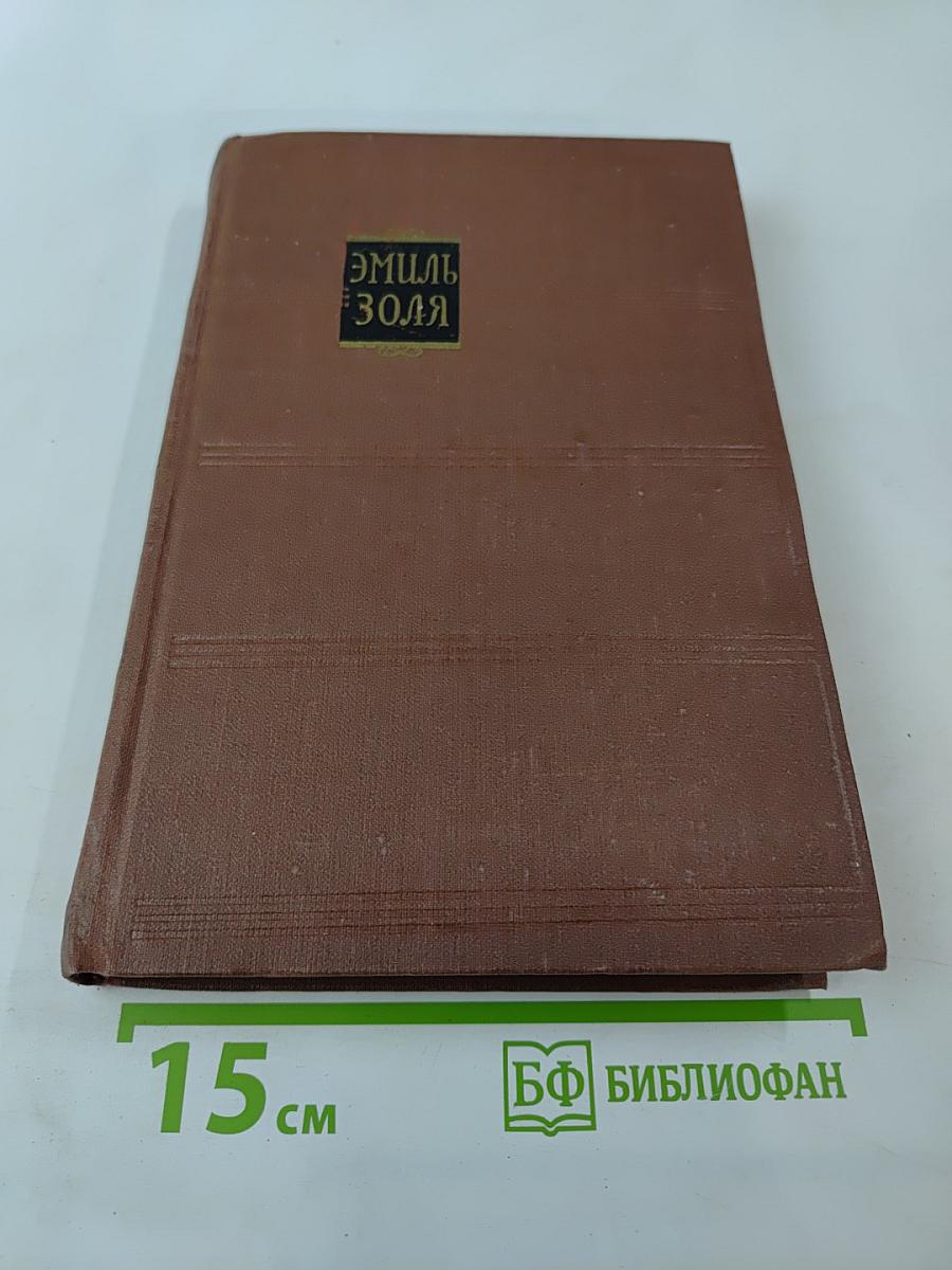 Жерминаль (Том 10)