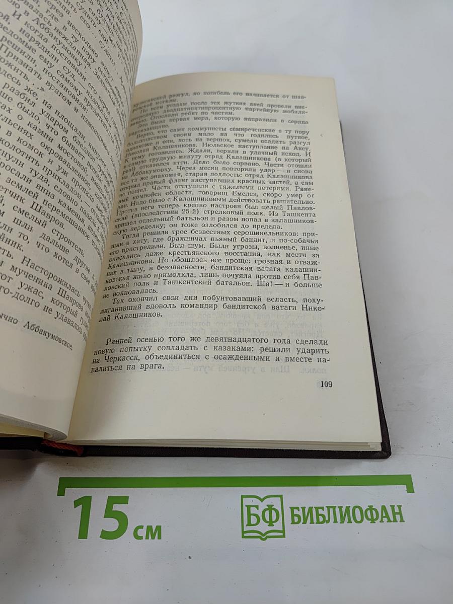 Мятеж. Том второй из Собрания сочинений