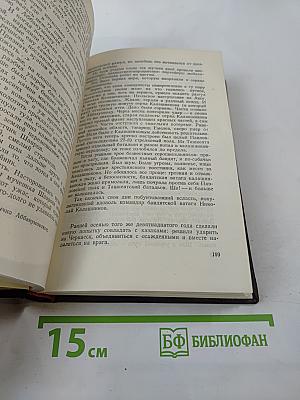 Мятеж. Том второй из Собрания сочинений