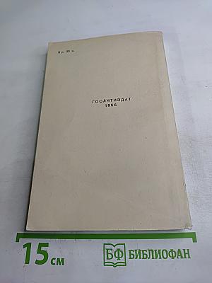 Единственный свидетель