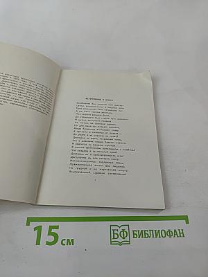 Раздумья на полпути