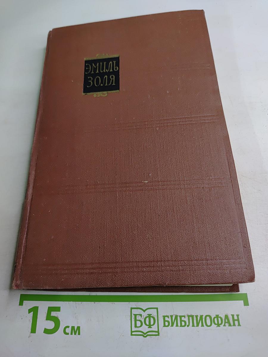 Чрево Парижа. Том 2