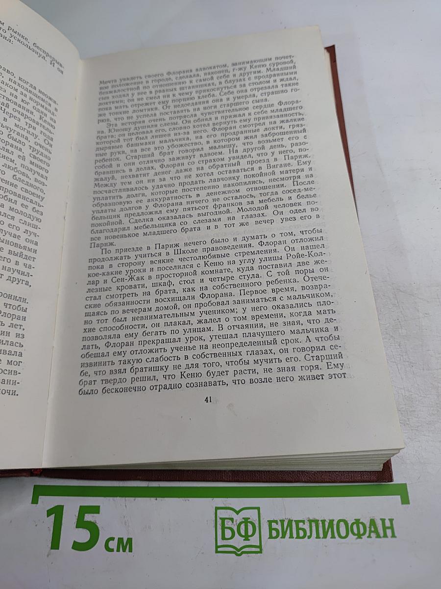 Чрево Парижа. Том 2