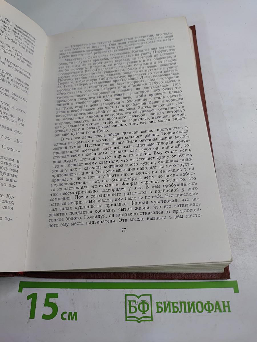 Чрево Парижа. Том 2