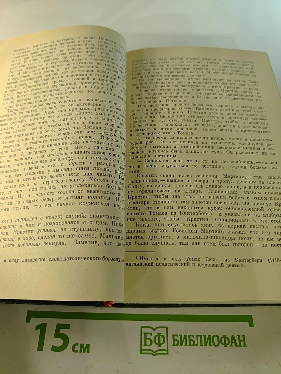 Кристин, дочь Лавранса. Книги 1-2
