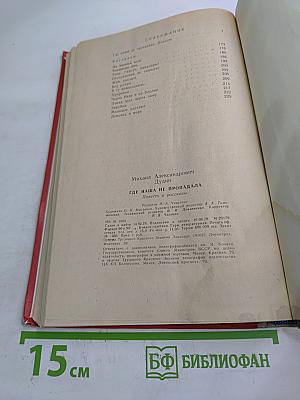 Где наша не пропадала