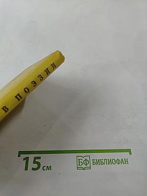 Ленинград в поэзии