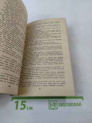 Твой дом, твоя семья