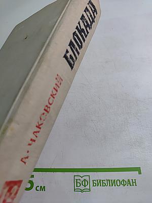 Блокада. Книги первая и вторая