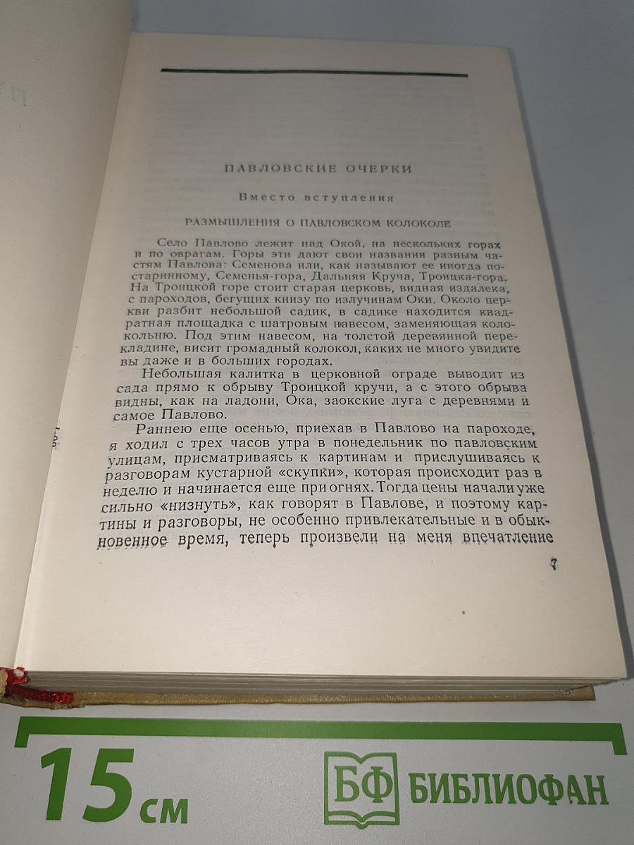 Павловские очерки. Публицистика