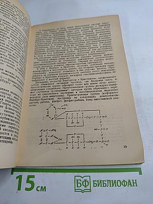 Материалы о механизме образования соляной кислоты в желудочном соке. Часть 2