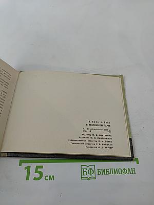 В Павловском парке