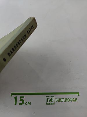 В Павловском парке