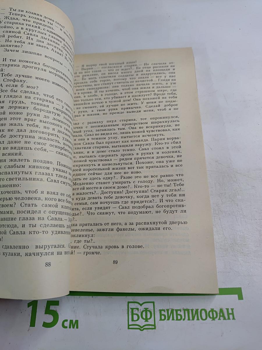 Покушение на миражи. Чистые воды Китежа