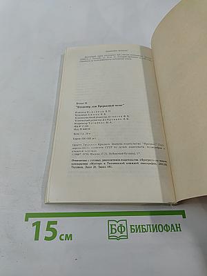 Владимир, или Прерванный полёт