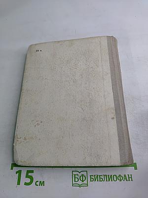 Выстоять и победить