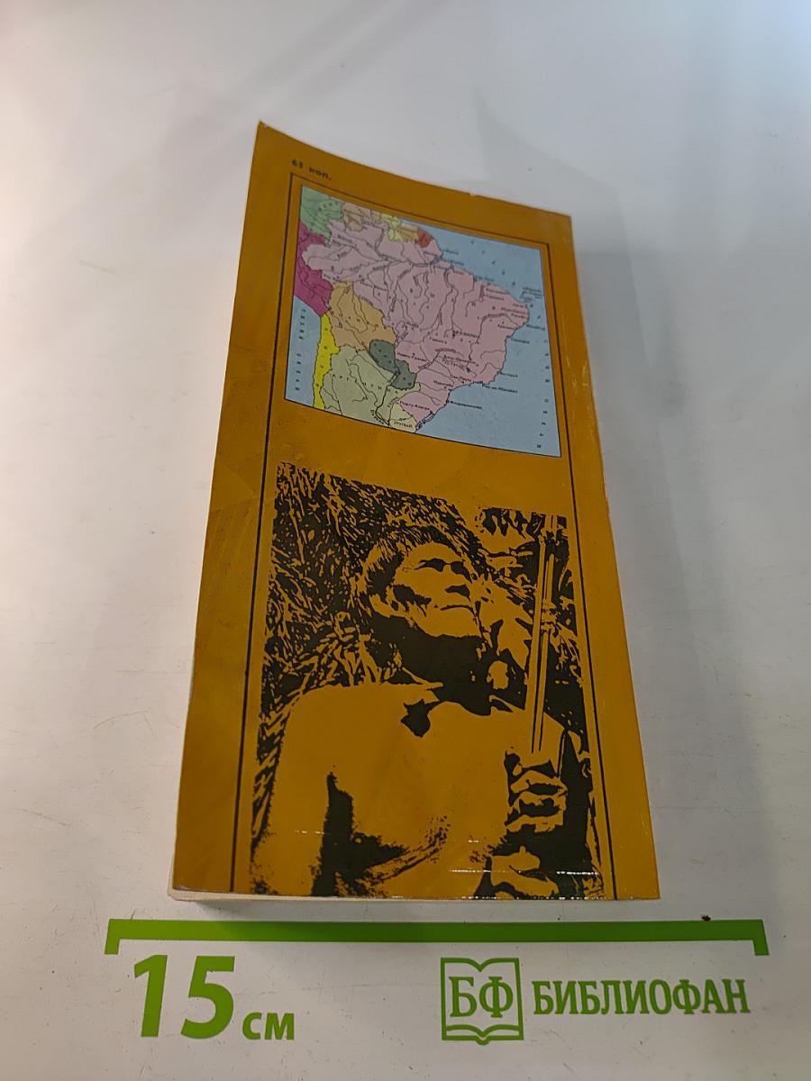 Жангада поднимает парус. Очерки о современной Бразилии