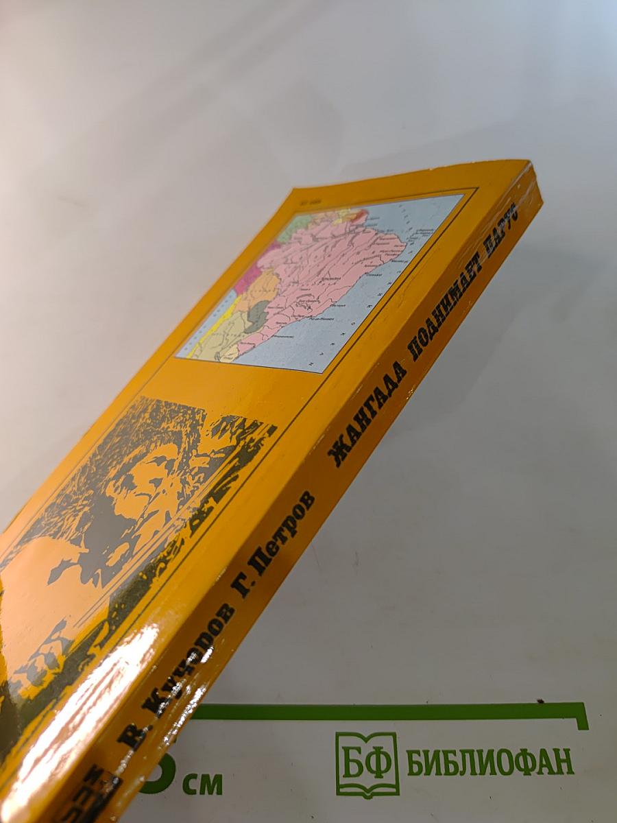 Жангада поднимает парус. Очерки о современной Бразилии