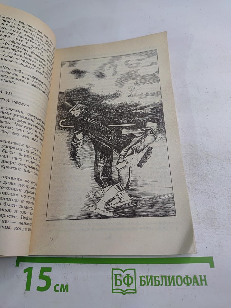 Серебряные коньки