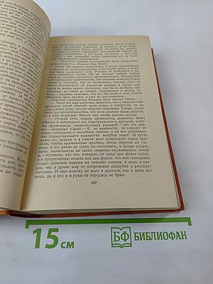 Хитроумный идальго Дон Кихот Ламанчский. Часть вторая