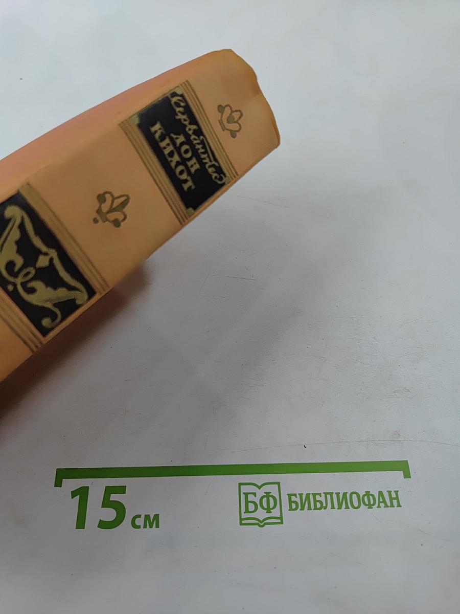 Хитроумный идальго Дон Кихот Ламанчский. Часть вторая