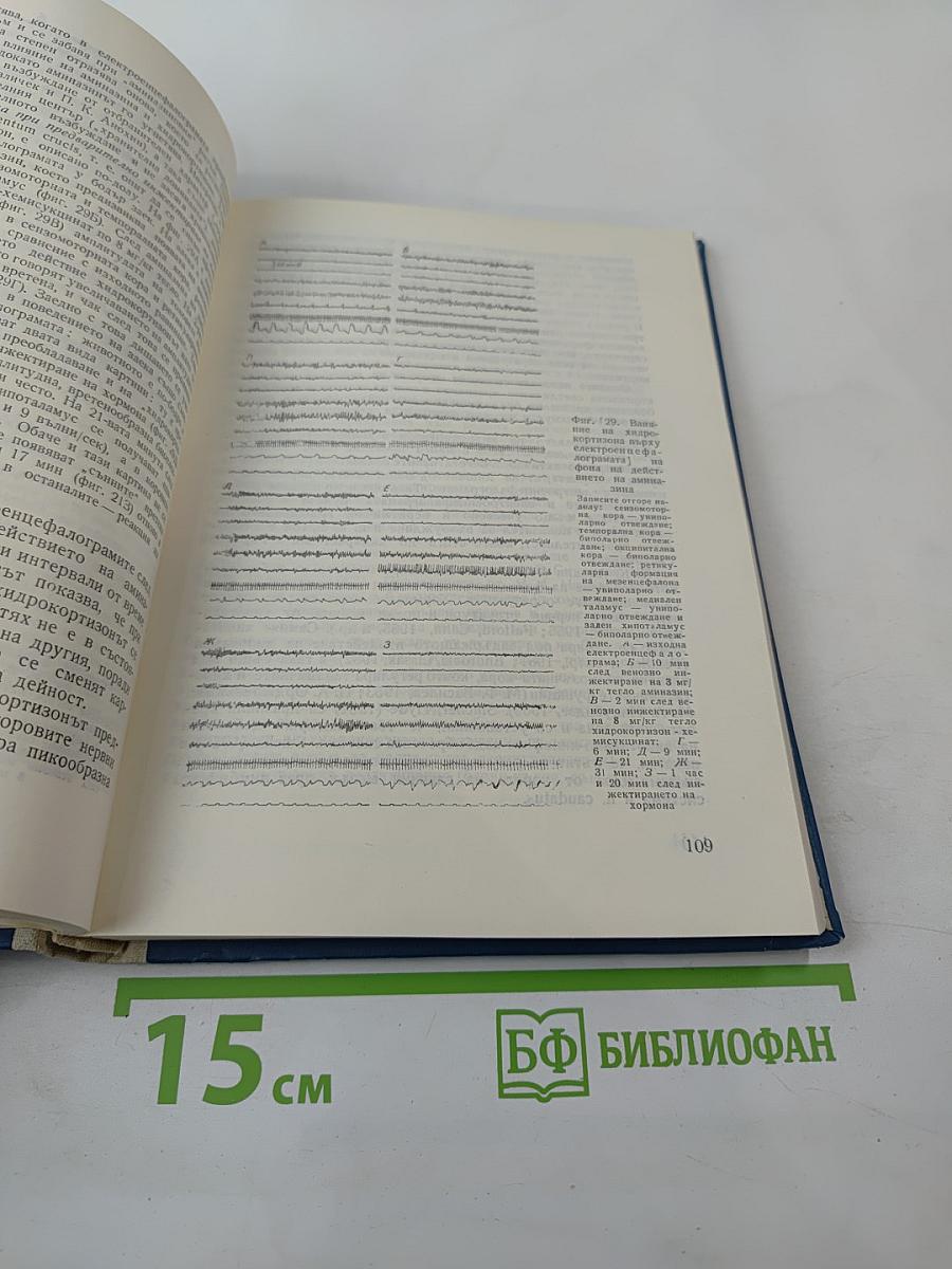 Кортико-висцеральная теория в медицине и гормональной регуляции