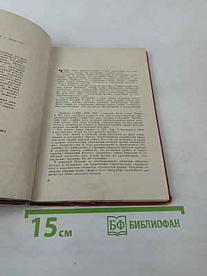 Высокие деревья