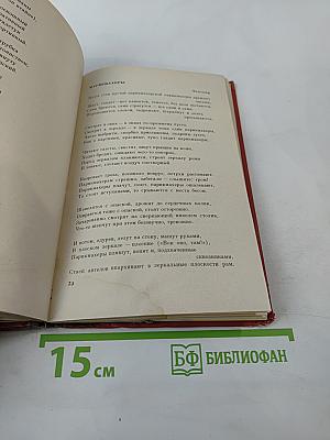 Высокие деревья