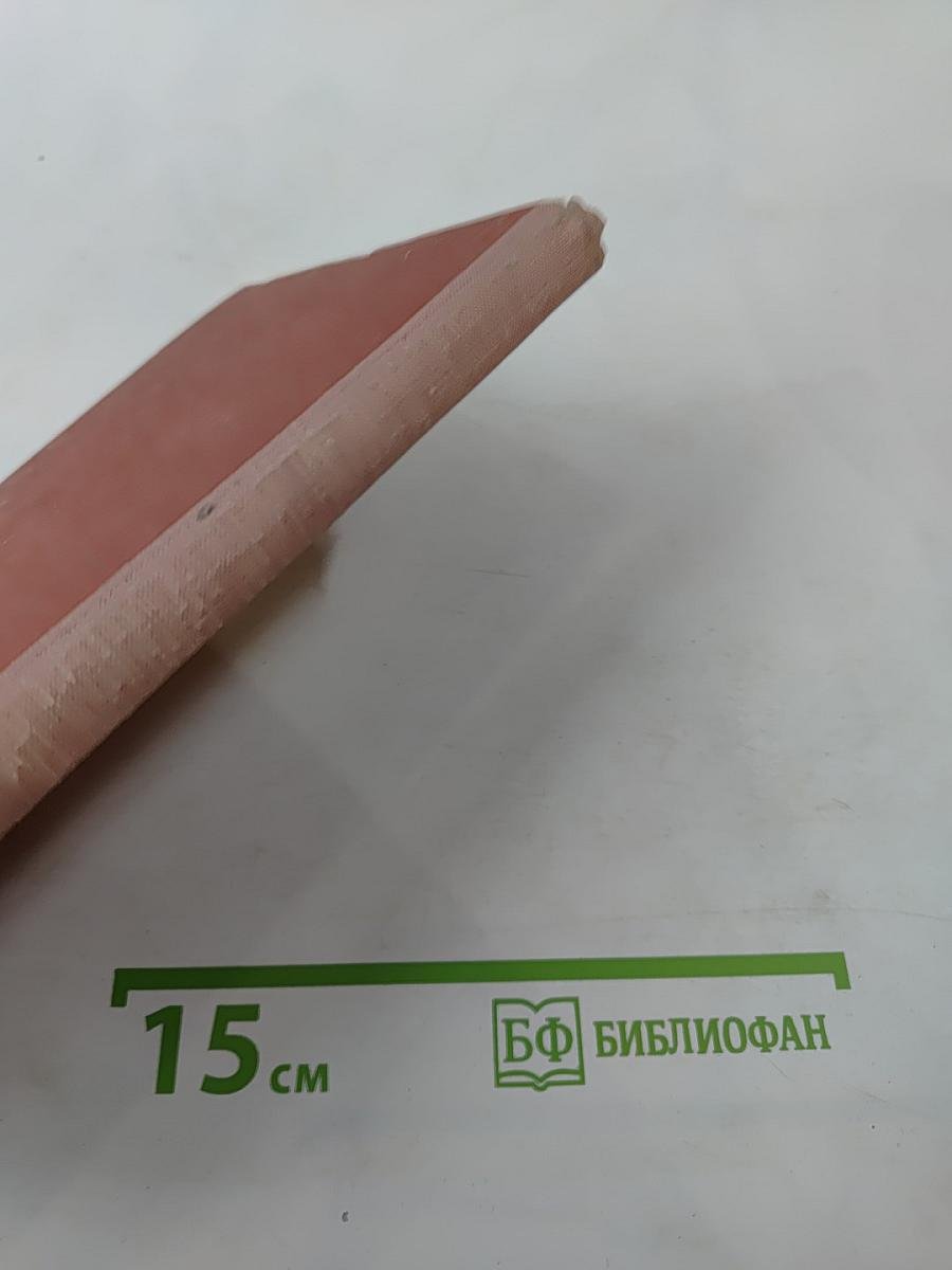 Высокие деревья