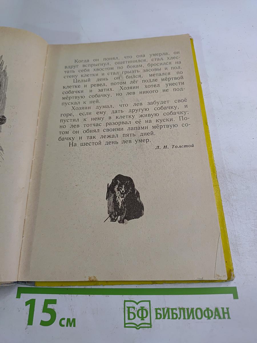 Рассказы и сказки русских писателей