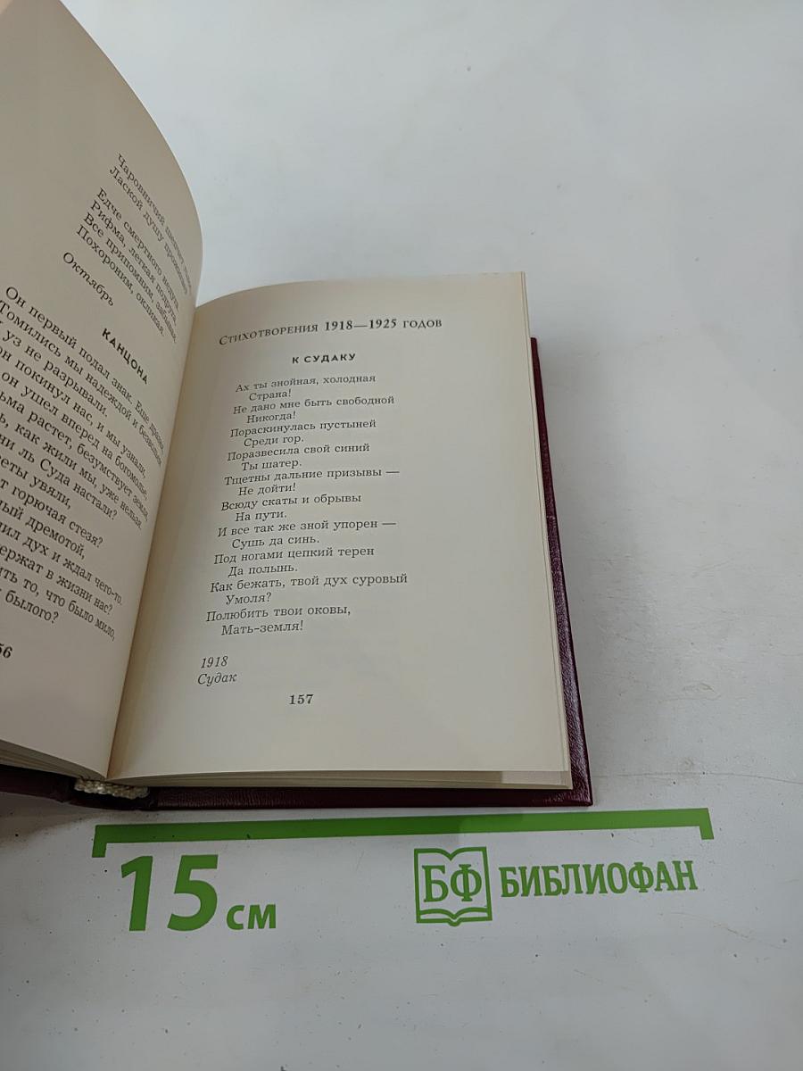 Лирика русских поэтесс