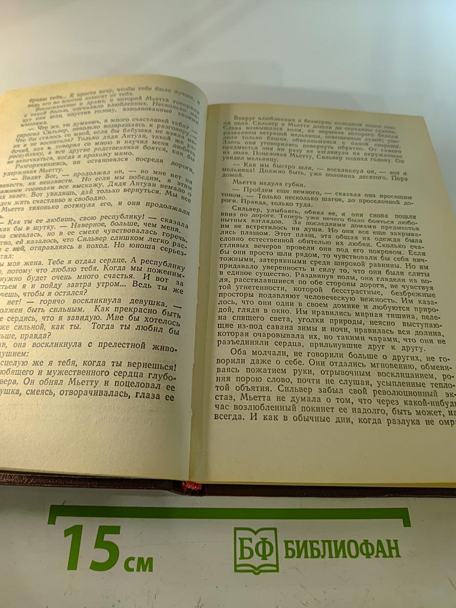 Собрание сочинений в 20 т. Т. 1. Карьера Ругонов. Добыча