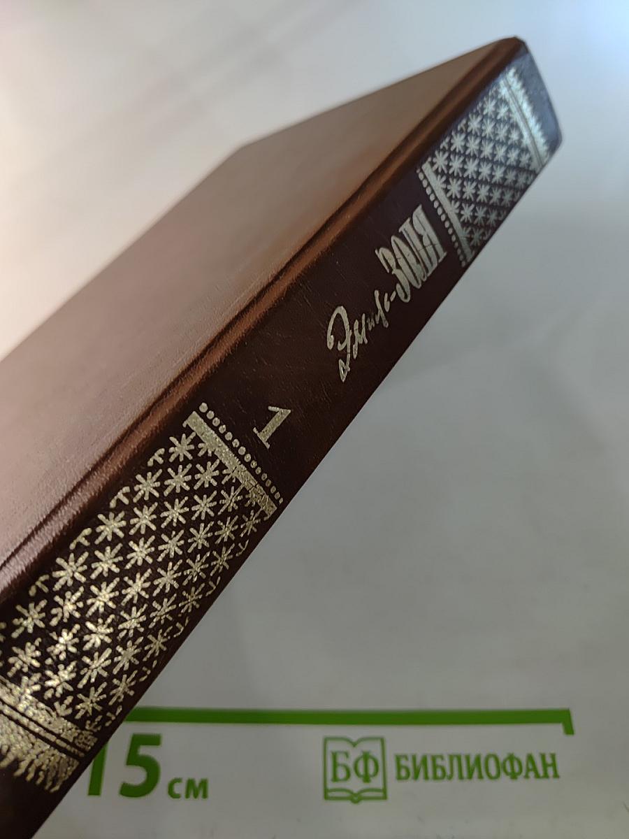 Собрание сочинений в 20 т. Т. 1. Карьера Ругонов. Добыча