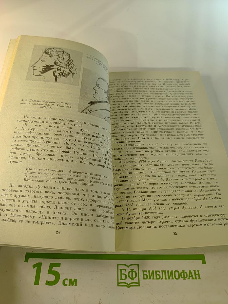 Раевские мои...