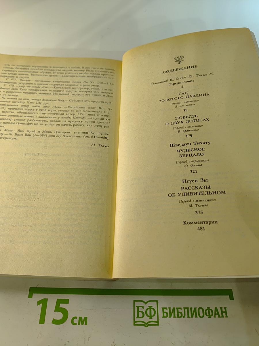 Чудесное Зерцало