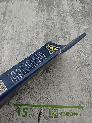 Логопедические занятия со школьниками 1-5 класс