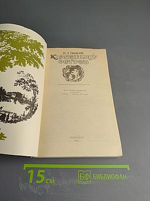 Каменный Остров