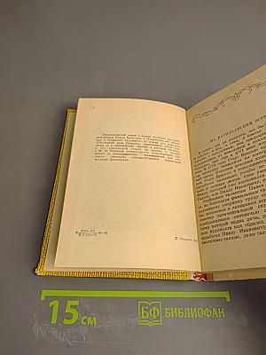 Карл Брюллов в Петербурге