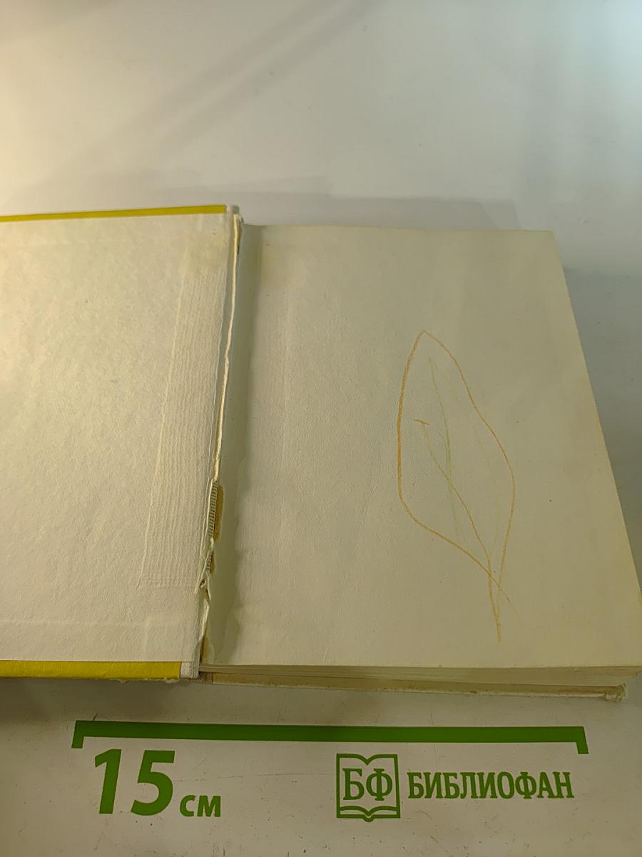 Суворов в Петербурге