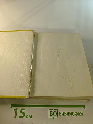 Суворов в Петербурге