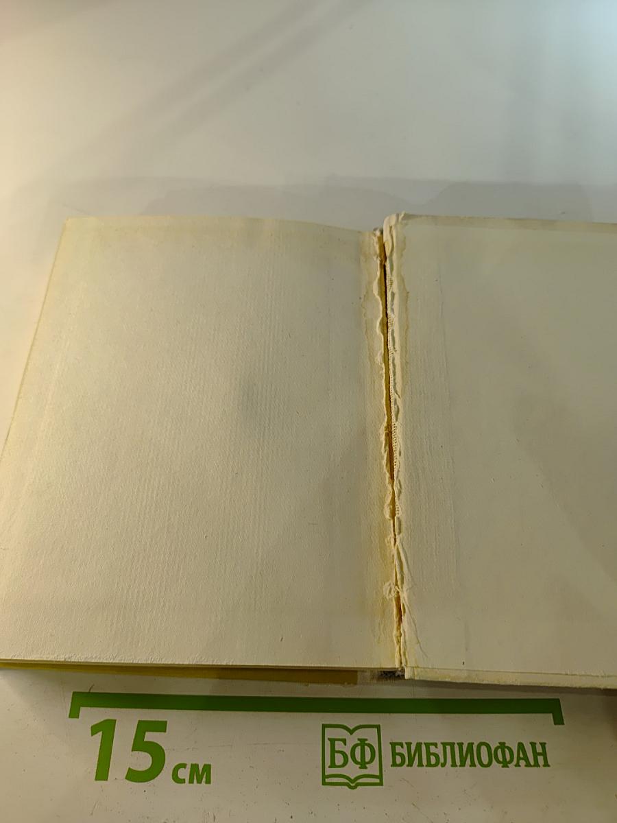 Суворов в Петербурге