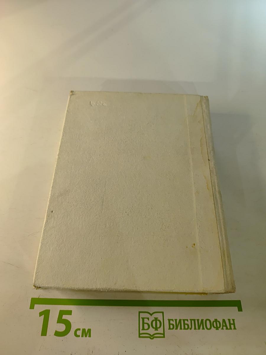 Суворов в Петербурге