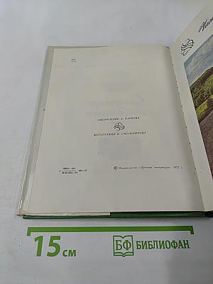 Середина столетия