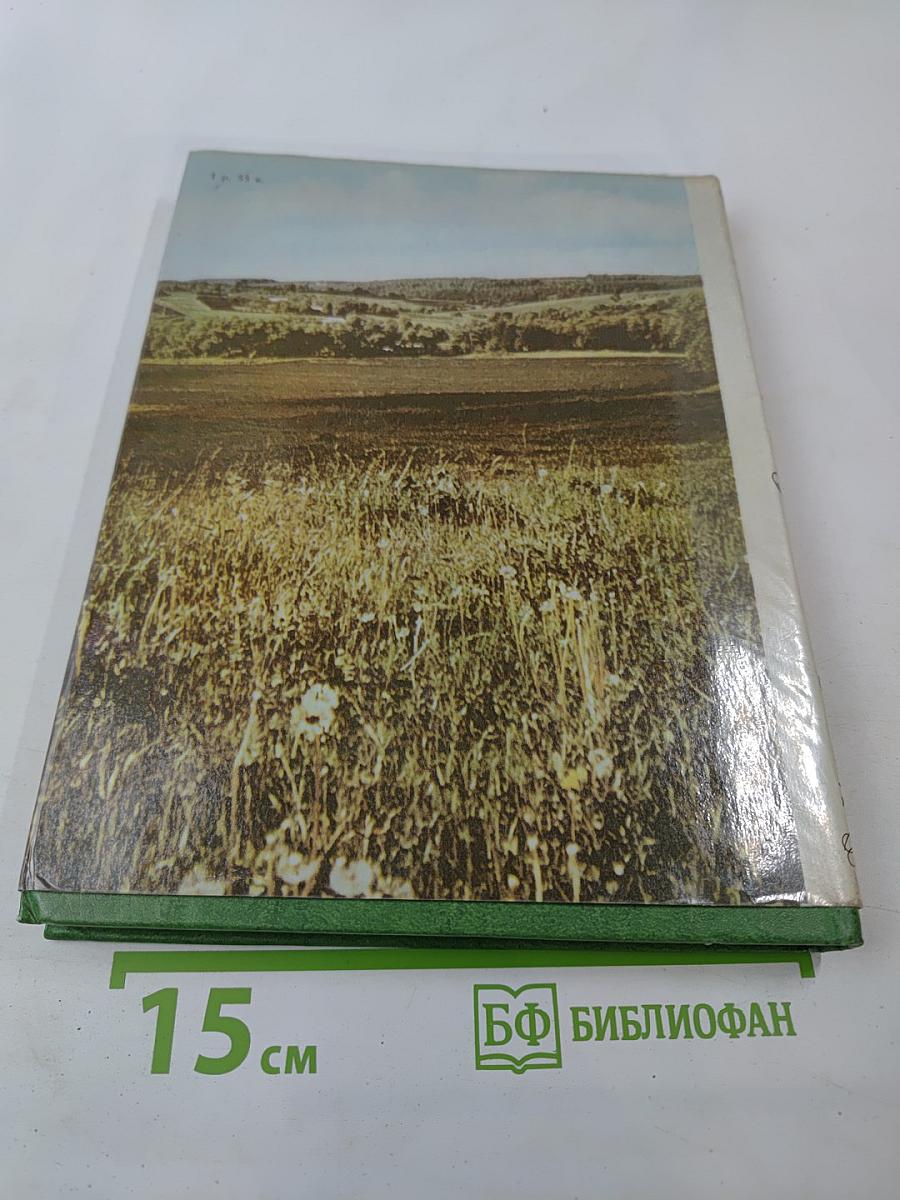 Середина столетия